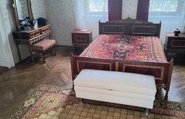 CASA DE VANZARE, IN CENTRUL DEJULUI CU GRADINA IMPRESIONANTA