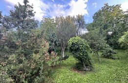 Casă de vânzare, 104 mp + teren generos de 28000 mp, Băița (Gherla)
