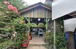 Casă de vânzare, 104 mp + teren generos de 28000 mp, Băița (Gherla)