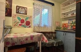 Casă de vânzare, 104 mp + teren generos de 28000 mp, Băița (Gherla)