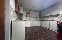 Casă de vânzare, 104 mp + teren generos de 28000 mp, Băița (Gherla)