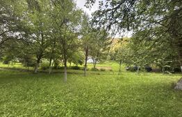 Casă de vânzare, 104 mp + teren generos de 28000 mp, Băița (Gherla)