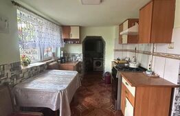 Casa individuala, 276 mp, teren 3.000 mp, zona Ocna Dej 