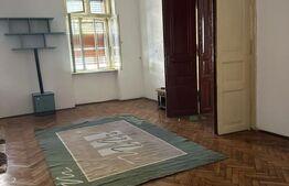 Proprietate de 450 mp la 5 minute de centru perfect pentru locuinta,investitie 