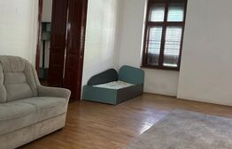 Proprietate de 450 mp la 5 minute de centru perfect pentru locuinta,investitie 