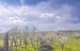 Teren intravilan/extravilan, 3000 mp, zona Bunesti 