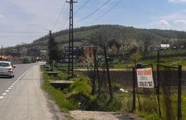 Teren intravilan/extravilan, 3000 mp, zona Bunesti 