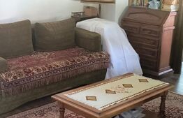 CASA DE VANZARE CE OFERA NU DOAR UN STIL DE LOCUIT CI UN STIL DE VIATA