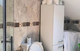 CASA DE VANZARE CE OFERA NU DOAR UN STIL DE LOCUIT CI UN STIL DE VIATA