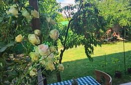 CASA DE VANZARE CE OFERA NU DOAR UN STIL DE LOCUIT CI UN STIL DE VIATA