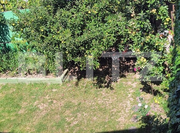 Casa de vânzare 5 camere Central - 202704CV | BLITZ Dej | Poza19
