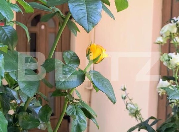 Casa de vânzare 5 camere Central - 202704CV | BLITZ Dej | Poza21