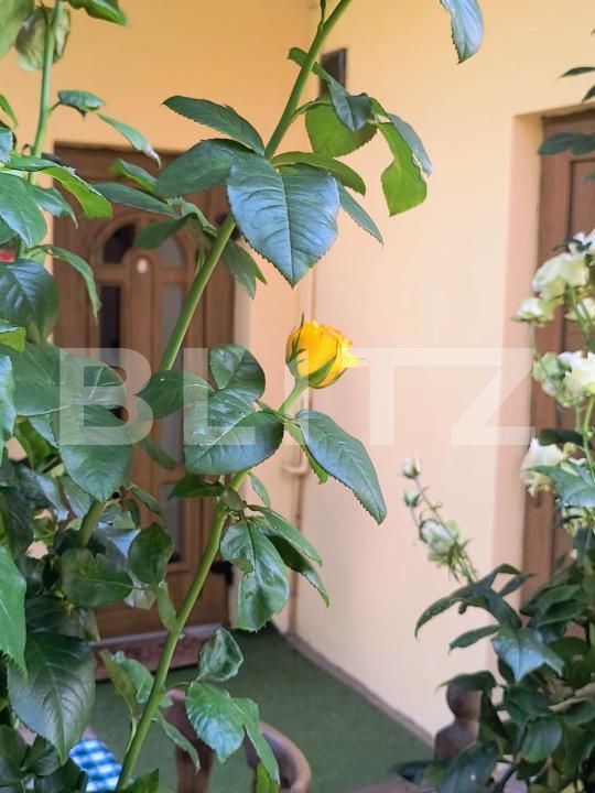 Casa de vânzare 5 camere Central - 202704CV | BLITZ Dej | Poza21