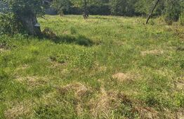 Casă de vânzare, 75 mp, teren 1.200 mp, zonă Nord-Vestică