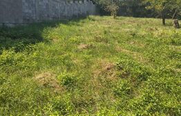 Casă de vânzare, 75 mp, teren 1.200 mp, zonă Nord-Vestică
