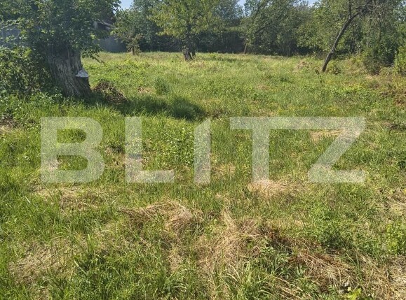 Casa de vânzare 2 camere Nord-Vest - 203170CV | BLITZ Dej | Poza12