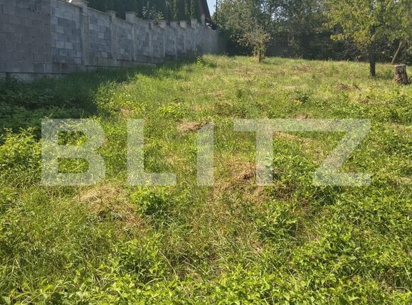 Casa de vânzare 2 camere Nord-Vest - 203170CV | BLITZ Dej | Poza10