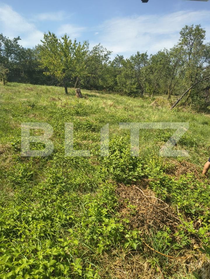 Casa de vânzare 2 camere Nord-Vest - 203170CV | BLITZ Dej | Poza11