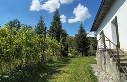 Casa de vanzare, 244 mp, teren 7729 mp, zona Ocna Dejului