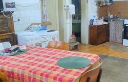 Casa de vanzare, 244 mp, teren 7729 mp, zona Ocna Dejului