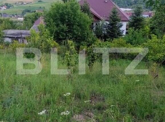 Casa de vânzare 4 camere Sud-Vest - 203294CV | BLITZ Dej | Poza19