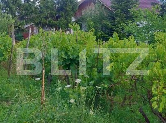 Casa de vânzare 4 camere Sud-Vest - 203294CV | BLITZ Dej | Poza18