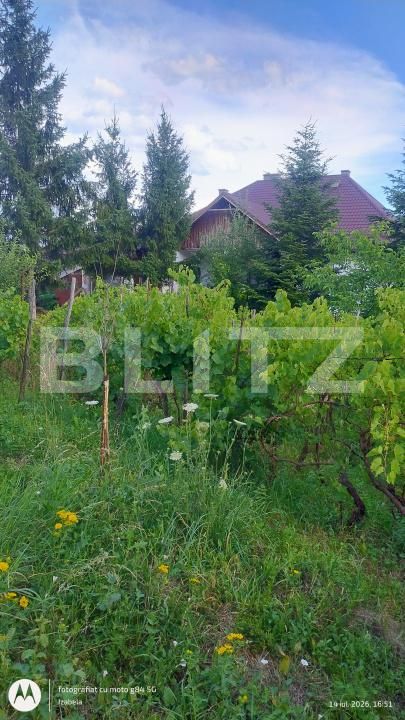 Casa de vânzare 4 camere Sud-Vest - 203294CV | BLITZ Dej | Poza18
