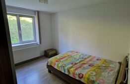 Apartament 2 camere, 47 mp, decomandat, renovat - Ec Teodoroiu, Dej