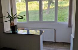 Apartament 2 camere, 47 mp, decomandat, renovat - Ec Teodoroiu, Dej