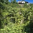Casa de vânzare 3 camere Central - 205054CV - Poza 1 din 14 | BLITZ Dej | Poza12
