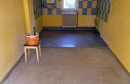 Casa de vanzare, 75 mp, localitatea Urisor 