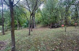 Casa de vanzare, 98 mp, teren 1.600 mp, zona Gherla 