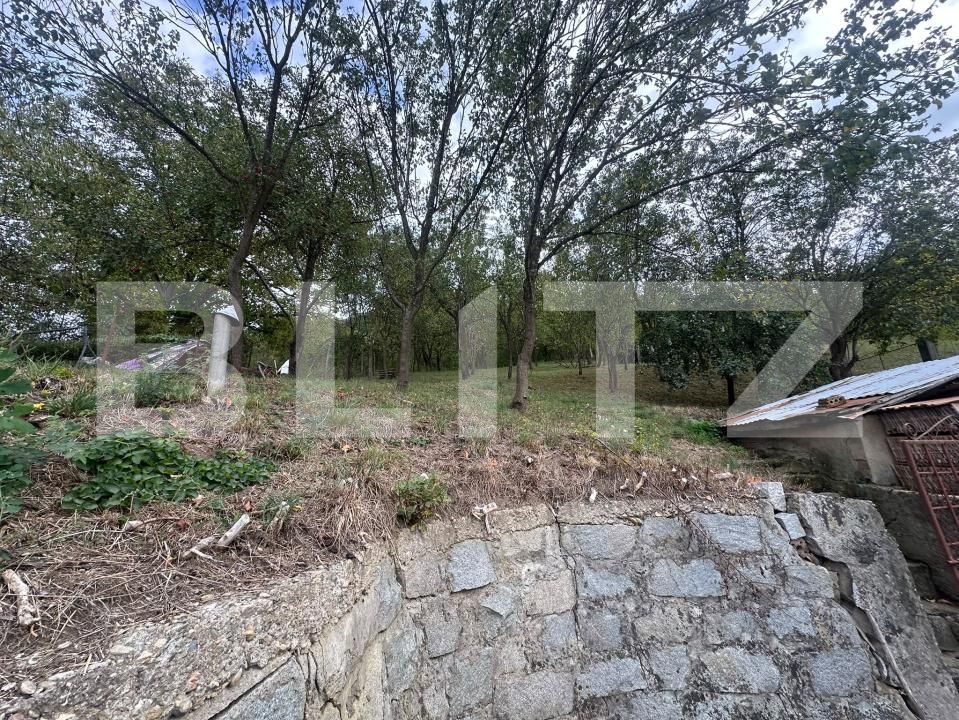 Casa de vânzare 4 camere Gherla - 206933CV | BLITZ Dej | Poza10