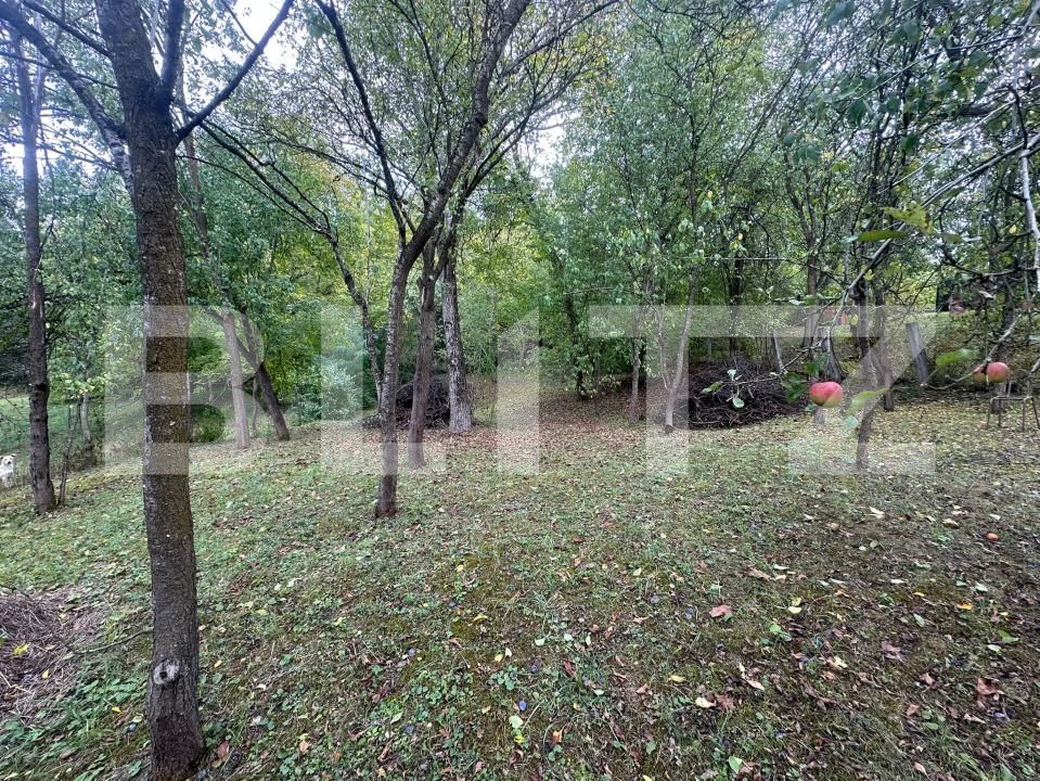 Casa de vânzare 4 camere Gherla - 206933CV | BLITZ Dej | Poza12