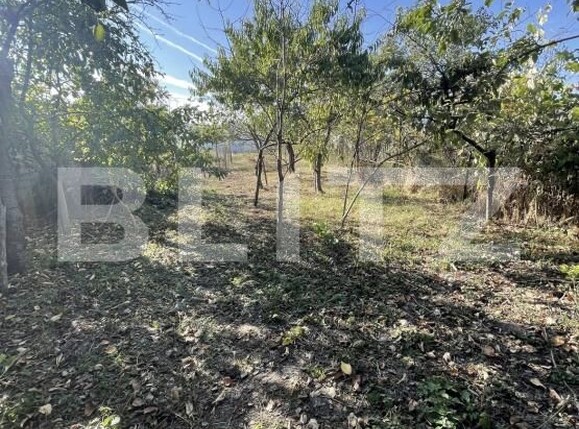 Casa de vânzare 2 camere Gherla - 207938CV | BLITZ Dej | Poza4