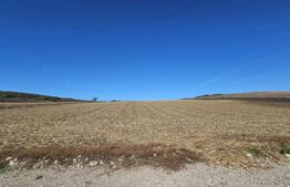 Teren extravilan, 17.000 mp, zona Almasu Mic