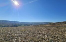 Teren extravilan, 17.000 mp, zona Almasu Mic