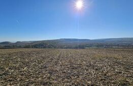 Teren extravilan, 17.000 mp, zona Almasu Mic