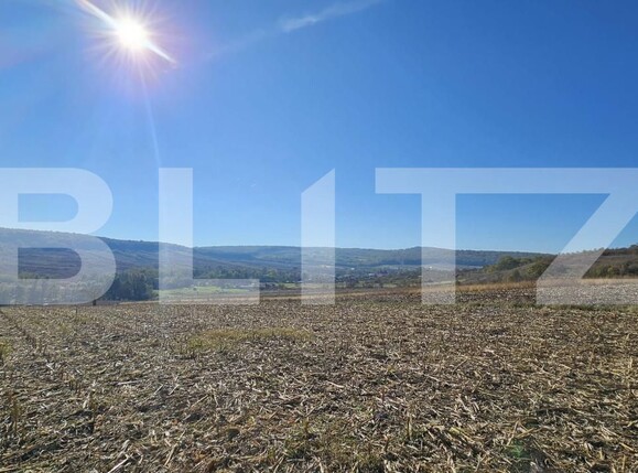 Teren de vânzare Almasu Mic - 160804TV | BLITZ Deva | Poza3