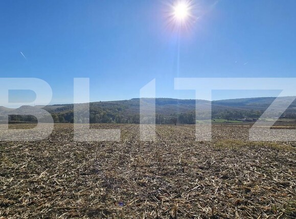 Teren de vânzare Almasu Mic - 160804TV | BLITZ Deva | Poza2