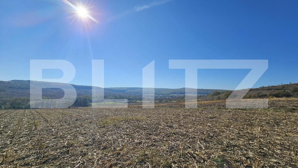Teren de vânzare Almasu Mic - 160804TV | BLITZ Deva | Poza3