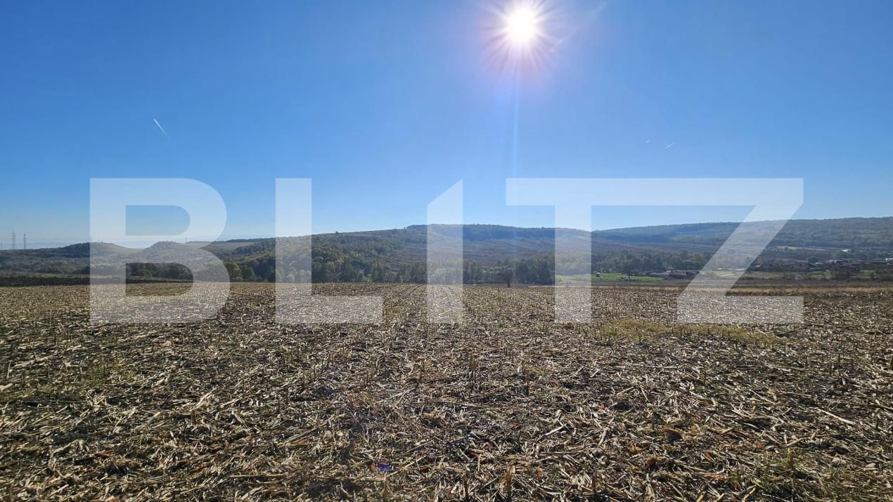 Teren de vânzare Almasu Mic - 160804TV | BLITZ Deva | Poza2