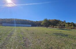 Teren de vânzare, 3950 mp, Almașul Mic – Locația perfectă pentru casa ta de vis!