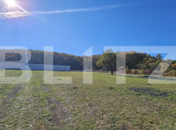 Teren de vânzare Almasu Mic - 160805TV | BLITZ Deva | Poza3