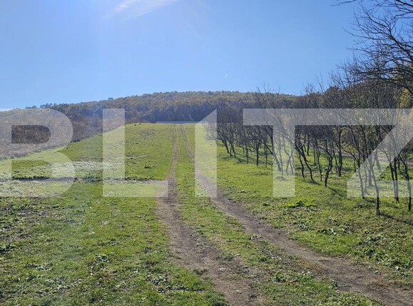 Teren de vânzare Almasu Mic - 160805TV | BLITZ Deva | Poza2