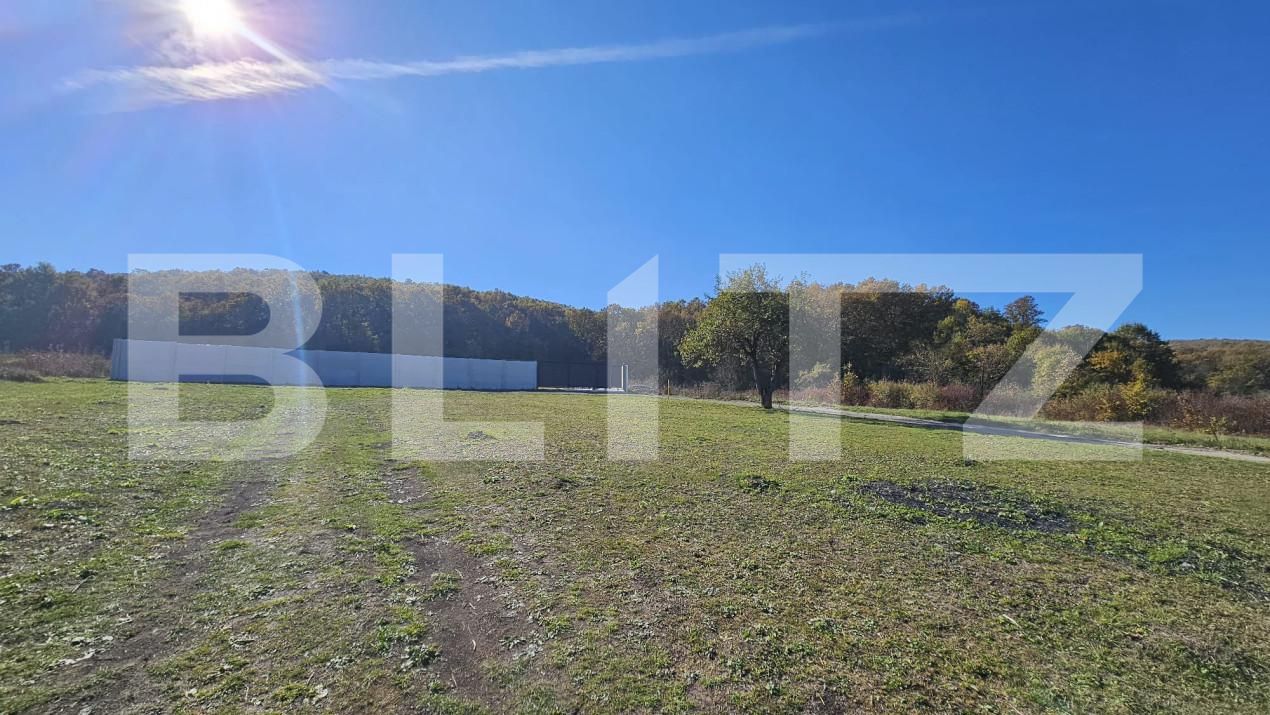 Teren de vânzare Almasu Mic - 160805TV | BLITZ Deva | Poza3