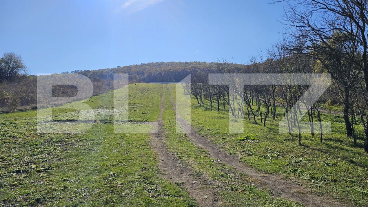 Teren de vânzare Almasu Mic - 160805TV | BLITZ Deva | Poza2