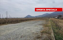 Oportunitate de Investiție de Top în Șoimuș - 2600 mp teren intravilan