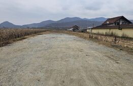 Oportunitate de Investiție de Top în Șoimuș - 2600 mp teren intravilan