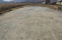 Oportunitate de Investiție de Top în Șoimuș - 2600 mp teren intravilan